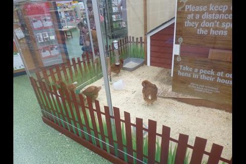 The store concentrates on live animals such as hens and tropical fish
